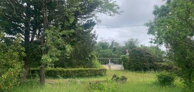 Terrain seul à Montlouis-sur-Loire en Indre-et-Loire (37) de 624 m² à vendre au prix de 90000€ - 1