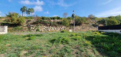 Terrain seul à Pézenas en Hérault (34) de 985 m² à vendre au prix de 285000€ - 3