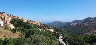 Terrain seul à Occhiatana en Haute-Corse (2B) de 1252 m² à vendre au prix de 184000€ - 1