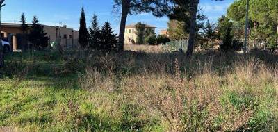 Terrain seul à Marseillan en Hérault (34) de 1138 m² à vendre au prix de 399000€ - 2