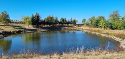 Terrain seul à Saint-Médard-en-Forez en Loire (42) de 8000 m² à vendre au prix de 138500€ - 1