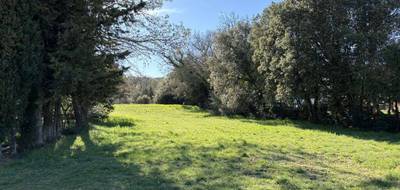 Terrain seul à Verfeuil en Gard (30) de 1500 m² à vendre au prix de 100000€ - 2