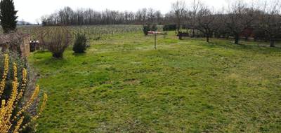 Terrain seul à Theizé en Rhône (69) de 696 m² à vendre au prix de 220000€ - 2
