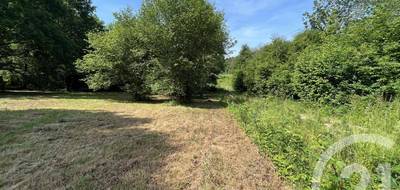 Terrain seul à Panazol en Haute-Vienne (87) de 3207 m² à vendre au prix de 82400€ - 2