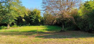 Terrain seul à Pompignac en Gironde (33) de 1400 m² à vendre au prix de 210000€ - 3