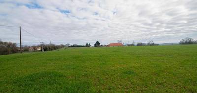 Terrain seul à Sempesserre en Gers (32) de 8000 m² à vendre au prix de 52000€ - 3