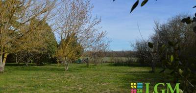 Terrain seul à Pibrac en Haute-Garonne (31) de 1100 m² à vendre au prix de 215000€ - 3