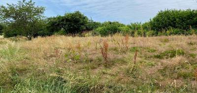 Programme terrain + maison à Bavilliers en Territoire de Belfort (90) de 500 m² à vendre au prix de 277916€ - 3