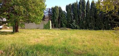 Terrain seul à Violès en Vaucluse (84) de 432 m² à vendre au prix de 99000€ - 1