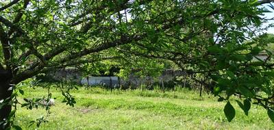 Terrain seul à Montignac-Lascaux en Dordogne (24) de 3575 m² à vendre au prix de 12490€ - 2