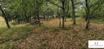 Terrain seul à Coux en Ardèche (07) de 1464 m² à vendre au prix de 145900€ - 3