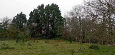 Terrain seul à Guipavas en Finistère (29) de 1742 m² à vendre au prix de 170000€ - 3