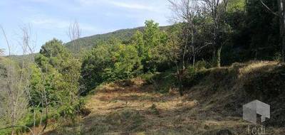 Terrain seul à Saint-Paul-la-Coste en Gard (30) de 6500 m² à vendre au prix de 127000€ - 2