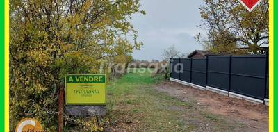 Terrain seul à Malicorne en Allier (03) de 3000 m² à vendre au prix de 35000€ - 3