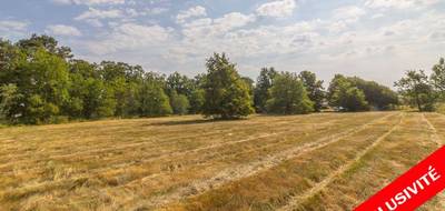 Terrain seul à La Ferté-Imbault en Loir-et-Cher (41) de 3565 m² à vendre au prix de 31990€ - 1