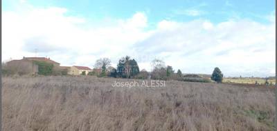 Terrain seul à Noisseville en Moselle (57) de 1623 m² à vendre au prix de 505000€ - 3