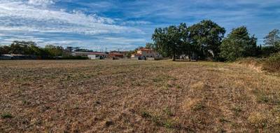 Terrain seul à Cintegabelle en Haute-Garonne (31) de 8674 m² à vendre au prix de 349000€ - 4