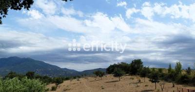 Terrain seul à Tresserre en Pyrénées-Orientales (66) de 67840 m² à vendre au prix de 145000€ - 1