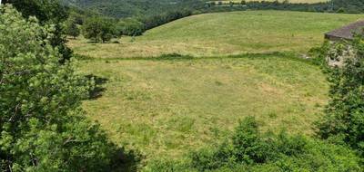 Terrain seul à Pampelonne en Tarn (81) de 2400 m² à vendre au prix de 65000€ - 2