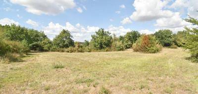 Terrain seul à Castelculier en Lot-et-Garonne (47) de 4946 m² à vendre au prix de 149900€ - 2