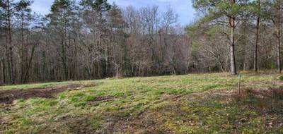 Terrain seul à Queyssac en Dordogne (24) de 7482 m² à vendre au prix de 122000€ - 1