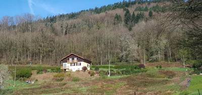 Terrain seul à Le Val-d'Ajol en Vosges (88) de 4728 m² à vendre au prix de 50000€ - 3