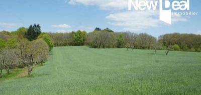 Terrain seul à Beynat en Corrèze (19) de 31080 m² à vendre au prix de 129600€ - 1