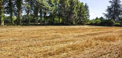 Terrain seul à Saint-Maurice-la-Souterraine en Creuse (23) de 14623 m² à vendre au prix de 54000€ - 3