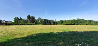 Terrain seul à Gué-d'Hossus en Ardennes (08) de 18600 m² à vendre au prix de 260000€ - 3