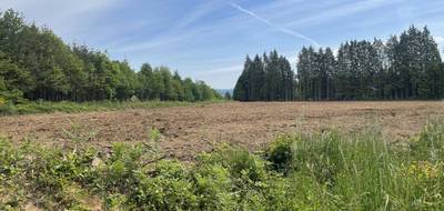 Terrain seul à Royères en Haute-Vienne (87) de 2972 m² à vendre au prix de 51000€ - 1