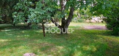 Terrain seul à Seignelay en Yonne (89) de 907 m² à vendre au prix de 39500€ - 3