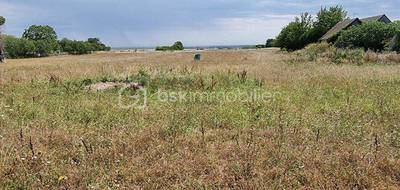 Terrain seul à Boësses en Loiret (45) de 7973 m² à vendre au prix de 49500€ - 1