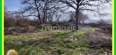 Terrain seul à Jouet-sur-l'Aubois en Cher (18) de 1600 m² à vendre au prix de 39900€ - 4