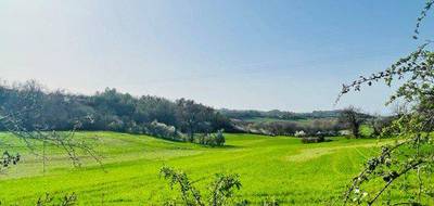 Terrain seul à Saliès en Tarn (81) de 1028 m² à vendre au prix de 98500€ - 4