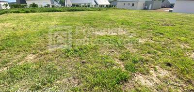 Terrain seul à Saint-Marcel en Morbihan (56) de 554 m² à vendre au prix de 76990€ - 3