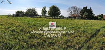 Terrain seul à Varennes en Indre-et-Loire (37) de 7292 m² à vendre au prix de 157000€ - 1