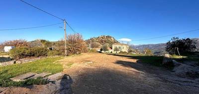 Terrain seul à Cateri en Haute-Corse (2B) de 1900 m² à vendre au prix de 480000€ - 1