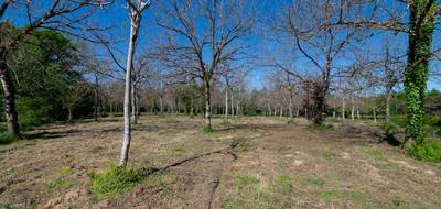 Terrain seul à Réans en Gers (32) de 10000 m² à vendre au prix de 124000€ - 1