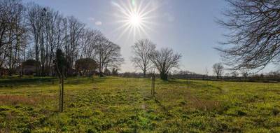 Terrain seul à Saint-Justin en Landes (40) de 800 m² à vendre au prix de 35000€ - 4
