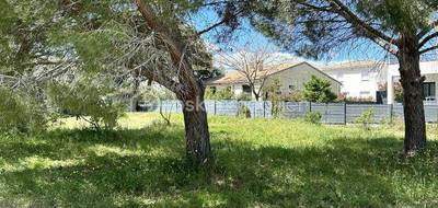 Terrain seul à Aimargues en Gard (30) de 1977 m² à vendre au prix de 650000€ - 2