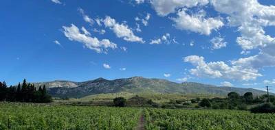 Terrain seul à Sigean en Aude (11) de 1200 m² à vendre au prix de 69900€ - 1