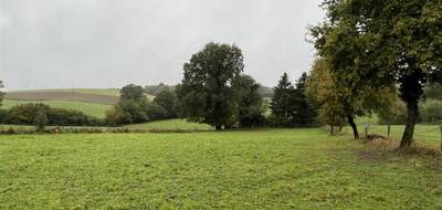 Terrain seul à Moissannes en Haute-Vienne (87) de 2752 m² à vendre au prix de 25000€ - 3