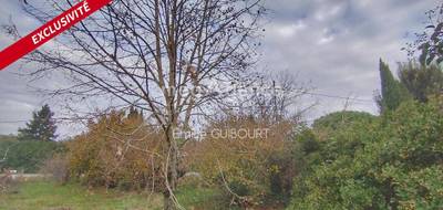 Terrain seul à Cintegabelle en Haute-Garonne (31) de 700 m² à vendre au prix de 77000€ - 3