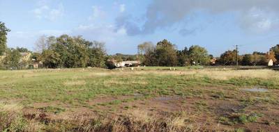 Terrain seul à Mareuil-sur-Lay-Dissais en Vendée (85) de 384 m² à vendre au prix de 35718€ - 3