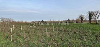 Terrain seul à Lasserre-Pradère en Haute-Garonne (31) de 0 m² à vendre au prix de 118000€ - 2