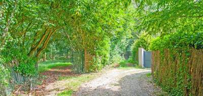 Terrain seul à Aumont-en-Halatte en Oise (60) de 31801 m² à vendre au prix de 134000€ - 1