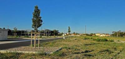 Terrain seul à Ille-sur-Têt en Pyrénées-Orientales (66) de 1053 m² à vendre au prix de 87750€ - 4