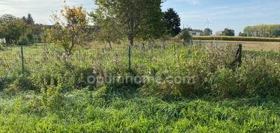 Terrain seul à La Neuville-Bosmont en Aisne (02) de 1165 m² à vendre au prix de 25135€ - 3