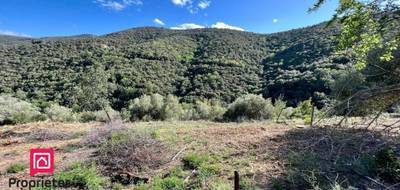 Terrain seul à Caixas en Pyrénées-Orientales (66) de 6800 m² à vendre au prix de 110000€ - 3