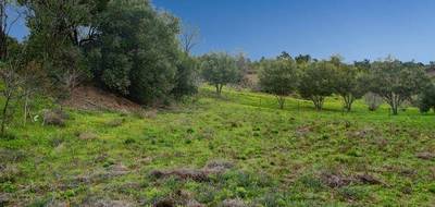 Terrain seul à Caunes-Minervois en Aude (11) de 1600 m² à vendre au prix de 80000€ - 1